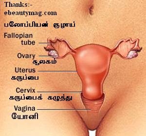 vaginal-discharge