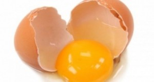 unboiled_egg_002-615x329-585x313