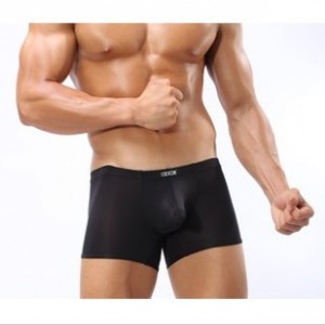 Free-shipping-bulge-pouch-underwear-Men-s-sheer-boxer-shorts-smooth-sheer-underwear-mens-designer-underware