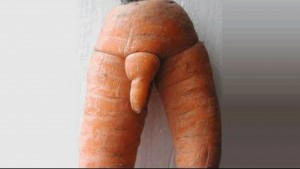 carrot-penis