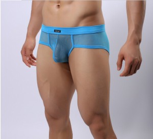 2014-new-Sexy-boxer-shorts-men-s-underwear-gauze-big-mesh-breathable-Fashion-Cool-panties-man-300x273