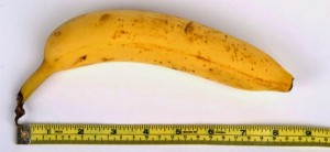 banana-penis-size