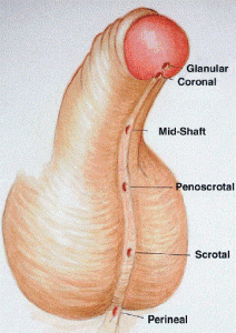 adnc489956.fig1