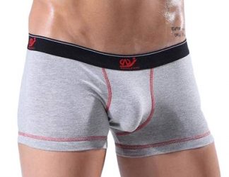 Hot-1pcs-mens-boxer-shorts-underwear-sexy-pants-penis-hot-panties-lot-Man-mesh-WJ-brand.jpg_640x640