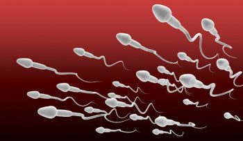 foods-to-improve-sperm-quality-1